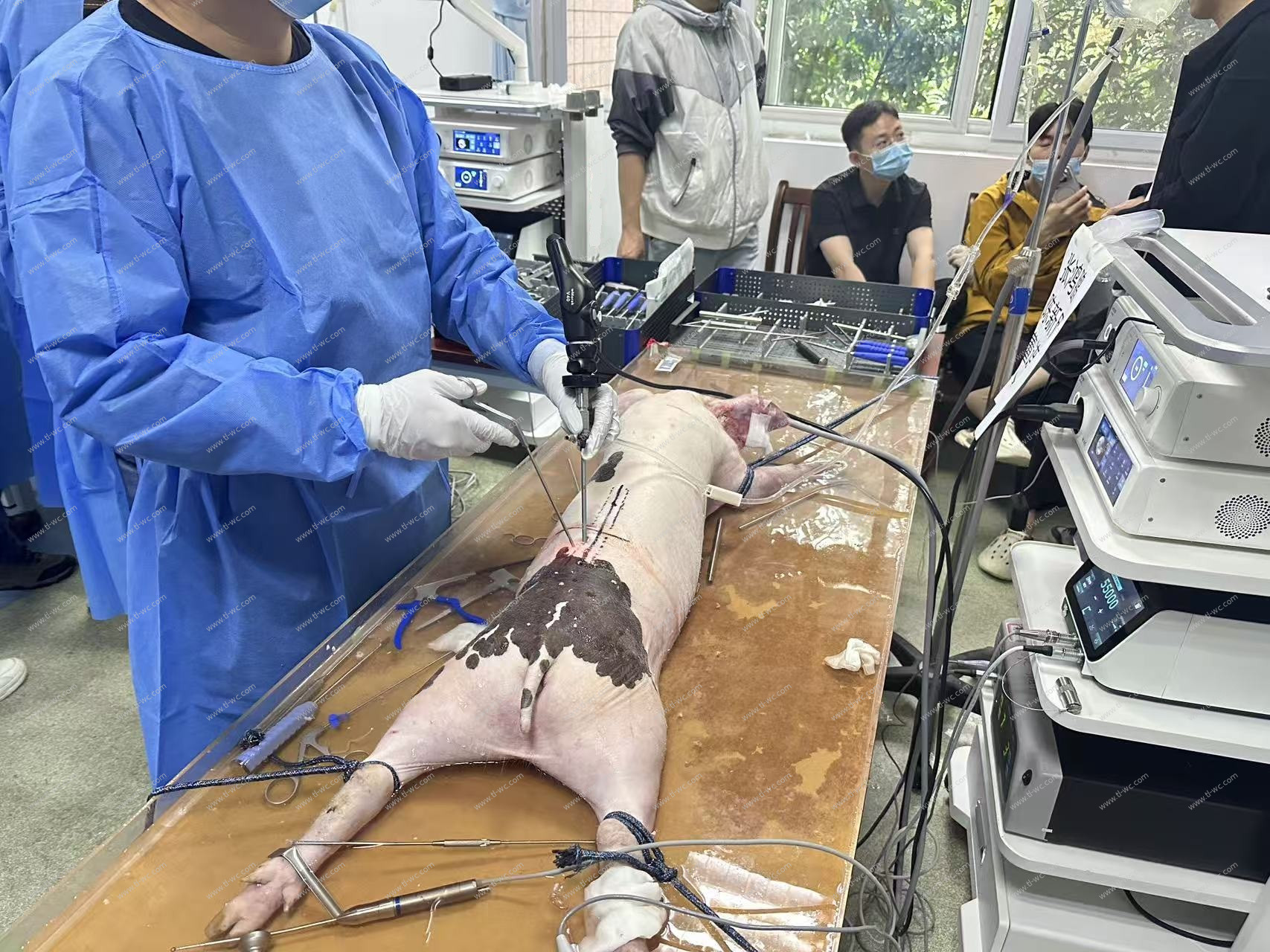 Praktische Ausbildung in UBE-Chirurgie – Region Anhui